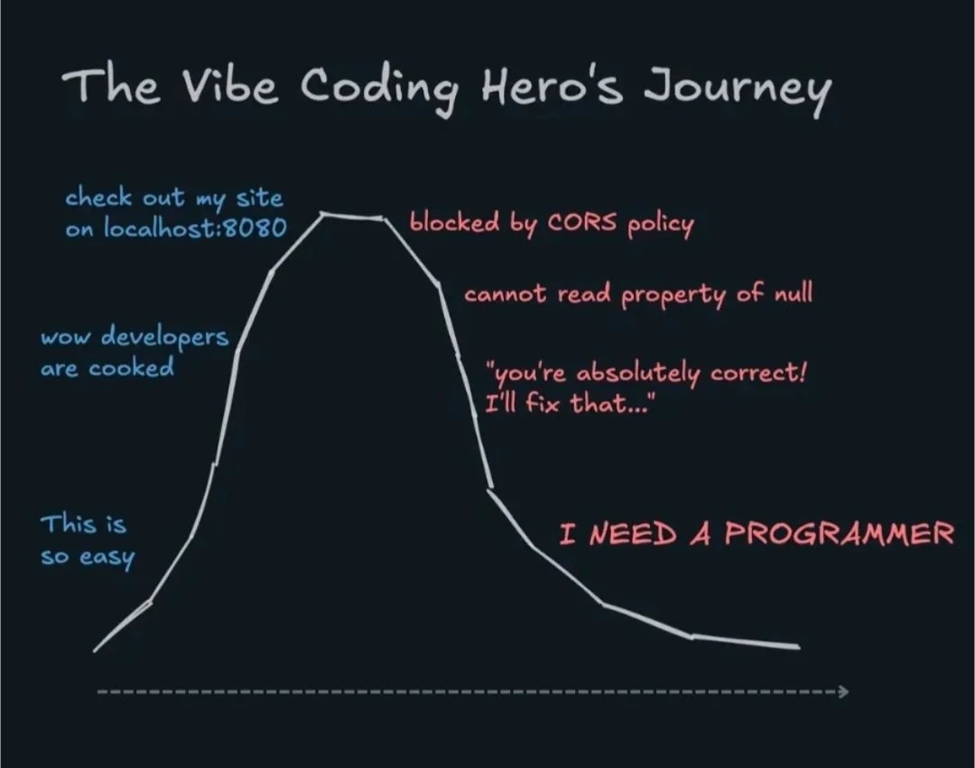 The vibe coder's journey